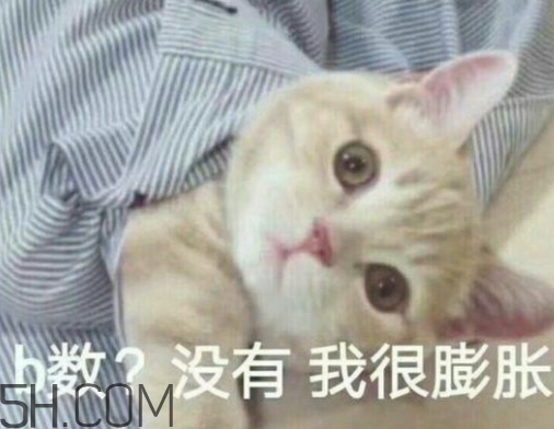 b數(shù)沒有我膨脹什么意思？b數(shù)沒有我膨脹表情包