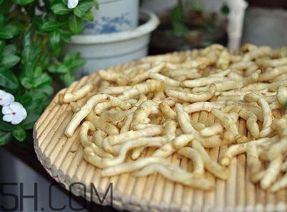 姜芽能吃嗎？姜芽怎么吃