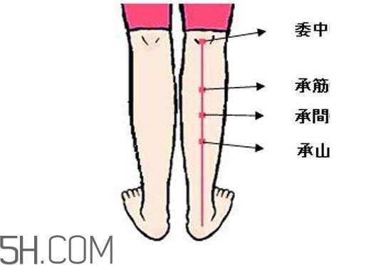 小腿抽筋可以跑步嗎？小腿抽筋可以拔火罐嗎