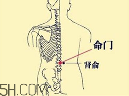 小腿抽筋可以跑步嗎？小腿抽筋可以拔火罐嗎