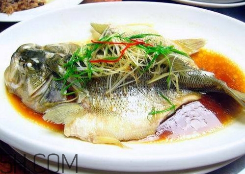 松江鱸魚怎么做？松江鱸魚養(yǎng)殖技術(shù)