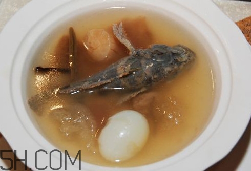 松江鱸魚哪里有？松江鱸魚什么季節(jié)吃最好
