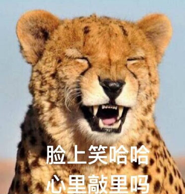 敲里lailai是什么意思？敲里lailai表情包無水印