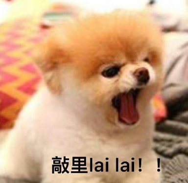 敲里lailai是什么意思？敲里lailai表情包無水印