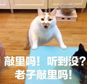 敲里lailai是什么意思？敲里lailai表情包無水印