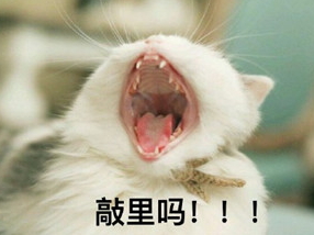 敲里lailai是什么意思？敲里lailai表情包無水印