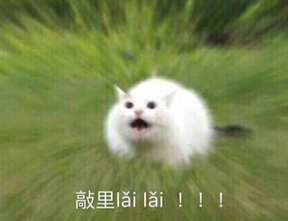 敲里lailai是什么意思？敲里lailai表情包無水印