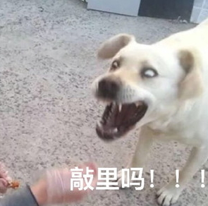 敲里lailai是什么意思？敲里lailai表情包無水印