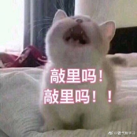 敲里lailai是什么意思？敲里lailai表情包無水印