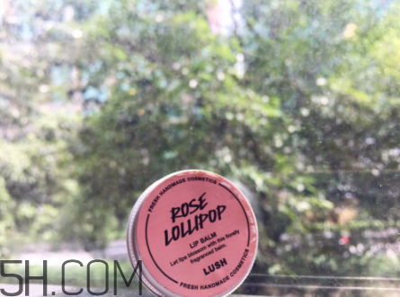 lush潤唇膏好用嗎？lush潤唇膏多少錢？