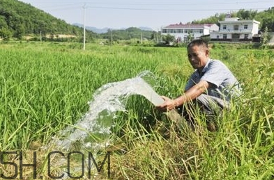 女生說(shuō)抽水什么意思？女生發(fā)消息想抽水什么意思？