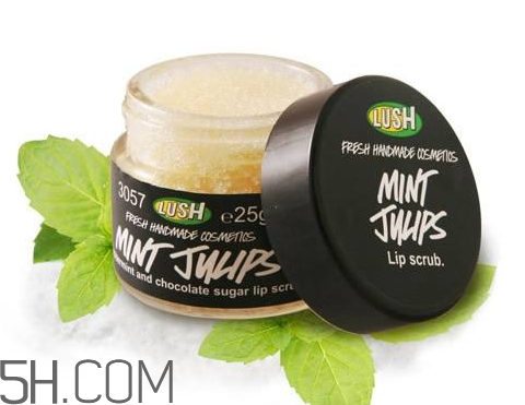 lush唇部磨砂膏好用嗎？lush唇部磨砂膏多少錢？