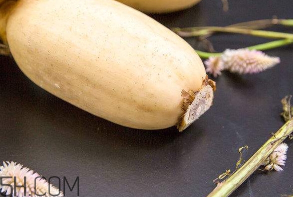 蓮藕是什么季節(jié)成熟的？蓮藕什么時(shí)候種植