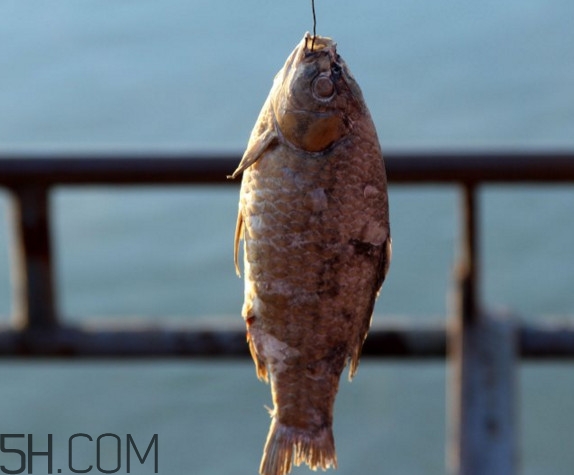 咸魚什么人不能吃？怎樣去除咸魚的咸