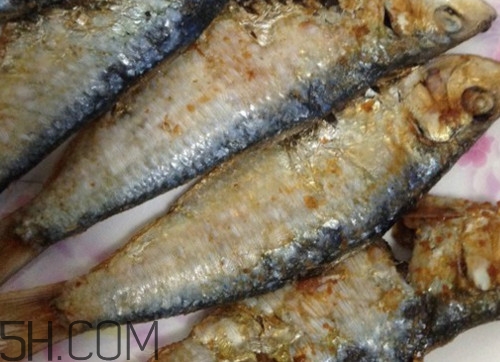 咸魚(yú)是不是海鮮？咸魚(yú)是不是咸水魚(yú)？