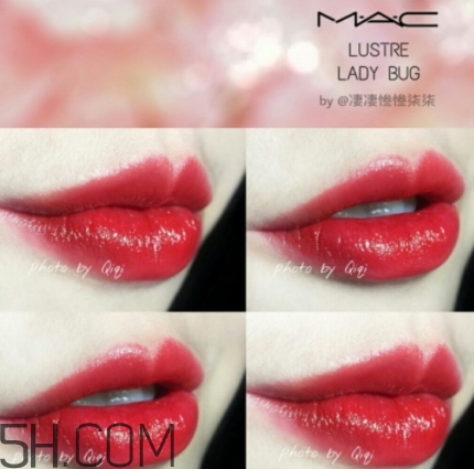 mac lady bug好看嗎？lady bug試色