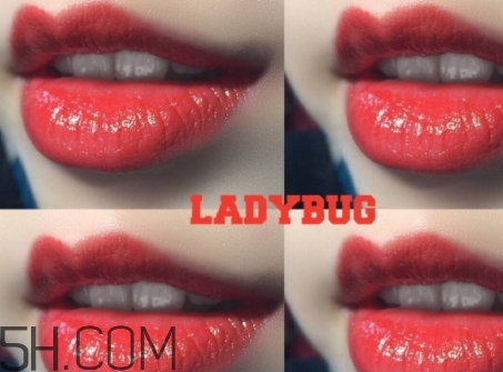 mac lady bug掉色嗎？mac ladybug真假辨別