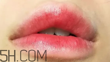 mac lady bug掉色嗎？mac ladybug真假辨別