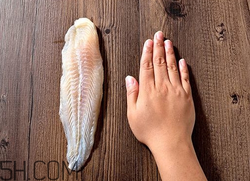 巴沙魚(yú)怎么解凍？巴沙魚(yú)怎么切片