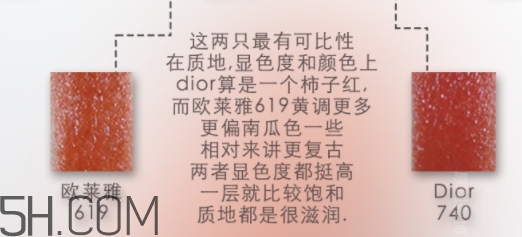 歐萊雅619和迪奧740像嗎？歐萊雅619秋葉和迪奧740對比