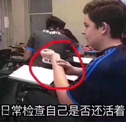 養(yǎng)生朋克什么意思？怎么做一個養(yǎng)生朋克？