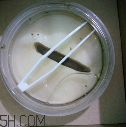膜法世家金桂花眼膜怎么樣？膜法世家金桂花眼膜好用嗎？