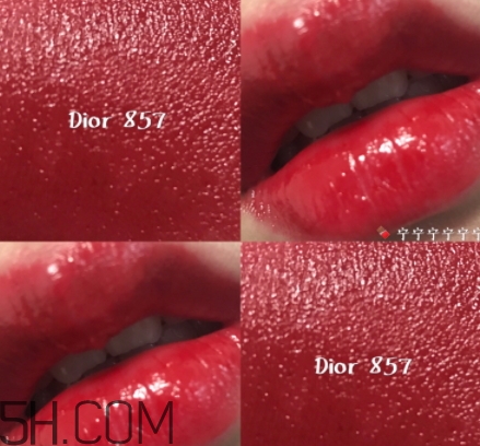 迪奧857和877哪個(gè)好看？迪奧857和877試色對(duì)比