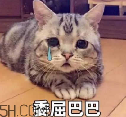 女生說我的胸好小什么意思？女生說我的胸好小怎么回復(fù)