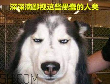 女生說(shuō)我醉了什么意思？女生說(shuō)喝多了怎么回復(fù)