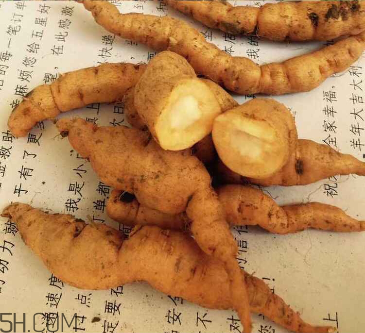 鮮地黃是什么？鮮地黃有什么功效？