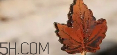 楓糖色口紅是什么顏色？楓糖色口紅試色