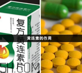 黃連素能降血糖嗎？黃連素能經(jīng)常吃嗎？