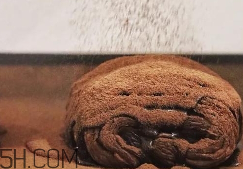 巧克力臟臟包怎么做？巧克力臟臟包的做法