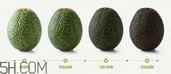 生牛油果可以放冰箱嗎？生牛油果怎么保存？