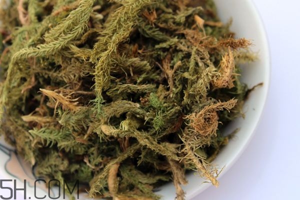 什么是伸筋草？伸筋草的功效與作用是什么？
