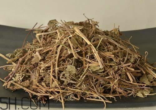 什么是透骨草？透骨草的功效與作用是什么？
