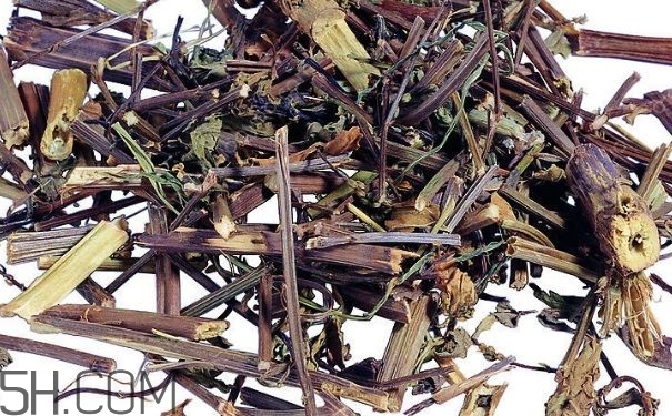 艾葉草洗澡有什么好處？怎么挑選艾葉草？