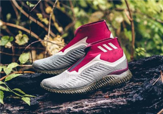 adidas alphabounce zip多少錢_在哪買？