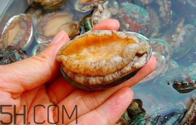 鮑魚怎么做好吃？吃鮑魚注意事項(xiàng)