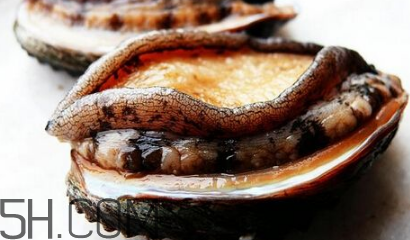 新鮮鮑魚怎么洗才干凈？鮑魚做法大全