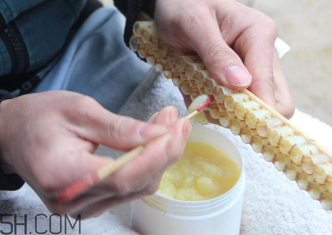 蜂王漿的營養(yǎng)成分有哪些？怎么辨別真假蜂王漿？