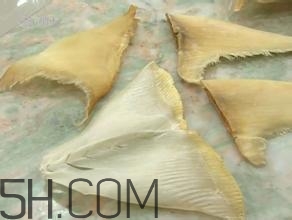 真假魚翅怎么辨別？魚翅的營養(yǎng)價(jià)值