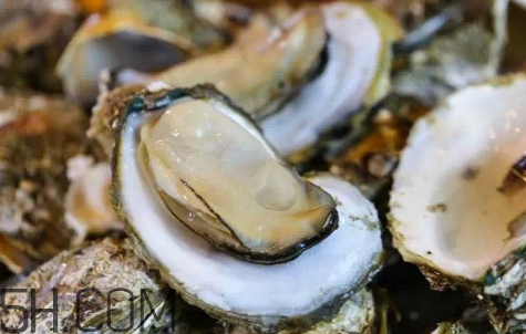 生蠔生吃好嗎？生蠔怎么吃最有營養(yǎng)？