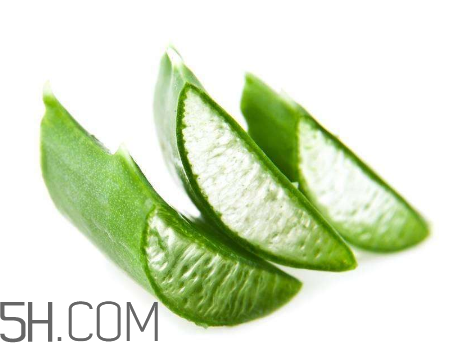 雅麗潔蘆薈膠有激素嗎？雅麗潔蘆薈膠測評