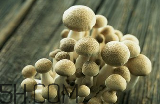 如何判斷生蠔烤熟沒有？生蠔可以和蘑菇一起吃嗎？