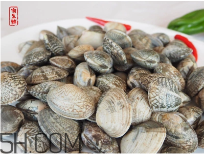 花甲可以冷凍嗎？養(yǎng)花甲鹽和水的比例是多少？