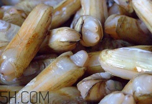 蟶子里面的黑色能吃嗎？蟶子為什么一撒鹽就出來(lái)？