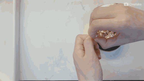雅頓金膠怎么打開？雅頓金膠膠囊怎么扭開？