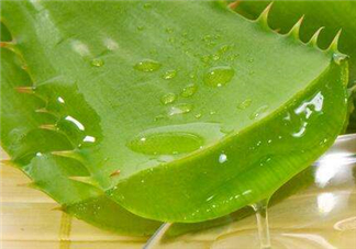 自然樂(lè)園蘆薈膠怎么用？自然樂(lè)園蘆薈膠使用方法