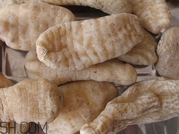 天麻能泡水喝嗎？吃天麻有什么作用？